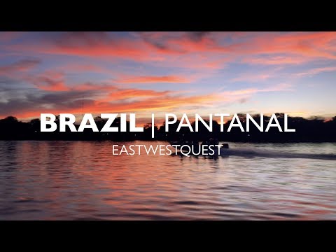 Brazilian Pantanal – The wildlife seeker’s paradise