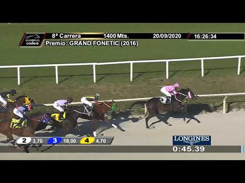 200920 c08 ES HECHICERA