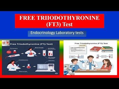FREE TRIIODOTHYRONINE (FT3) Test -  Definition, Uses , Need, Preparation , Results  , Normal Values
