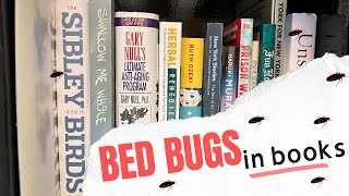 Bed Bugs in Books - How Common Is This?