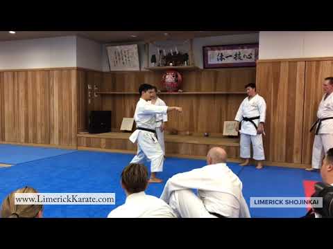 Hangetsu Kata JKS Kagawa Sensei