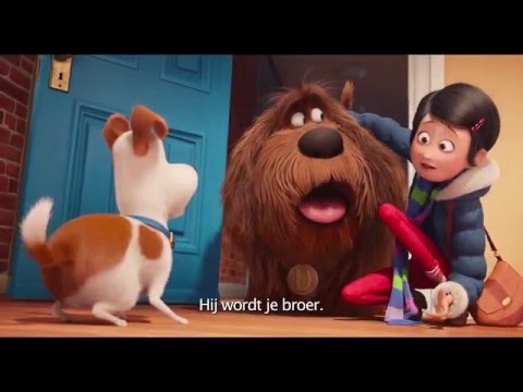 The Secret Life of Pets