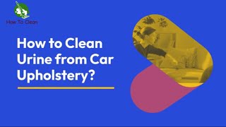 How to Clean Urine from Car Upholstery? - Complete Guide.