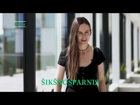 BSU Lithuanian language and culture course 2022