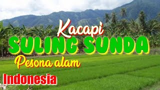Download lagu Suling sunda merdu dengan kicauan burung mp3