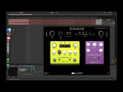 Delay Effect / Red Miso - Animals As Leaders