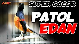 Download lagu MURAI PASTOL FUL MATERI TEMBAKAN SUPER MEWAH SIAP HADAPI BADAI TIANG BESI mp3