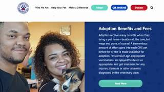 New Adoption Process Video