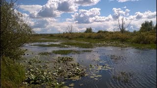 Платные пруды для рыбалки алтайский край