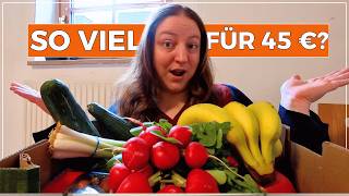 45€ Wocheneinkauf für 5 Personen – so sparen wir bei Lidl & bekommen Produkte GRATIS?! | Big Mary
