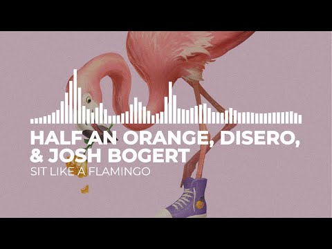 Half an Orange, Disero, & Josh Bogert - Sit Like a Flamingo (Catalog Visualizers)