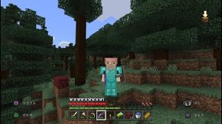【PS4】 #36 ～エンドラアタック 勝手にワンデスリセット Part30～【Minecraft】