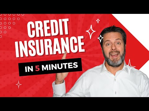 What is Trade Credit Insurance?  | Credit Insurance explained in 5 minutes