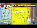 LIVE SpongeBob S Most Extreme Weather Marathon ️ SpongeBobOfficial