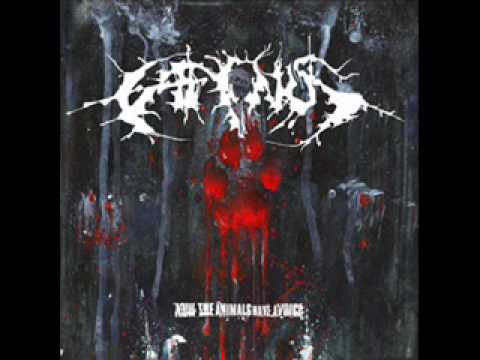 Caninus - human rawhide fmc.wmv