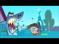 Wow Timmy Jumped The Shark Like Weird Owl
