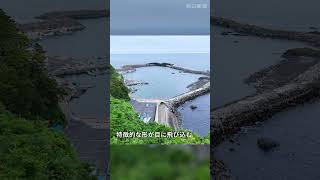 石巻の「ハート形の漁港」SNSで拡散　震災復興工事で形が鮮明に #shorts