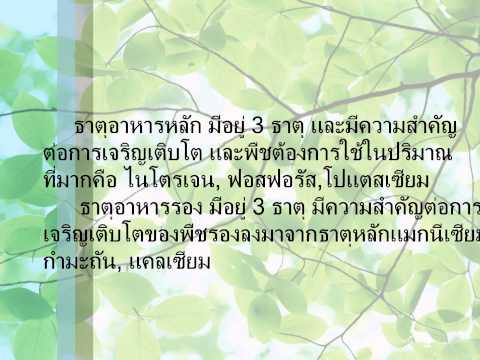 บางผลิตภัณฑ์ที่น่าตื่นเต้นสำหรับผู้หญิงที่มีขายในร้านขายยา ฉีดที่มีความแข็งแรง