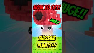 Download lagu How to get Huge Plants in Plants Vs Brainrots!!! mp3