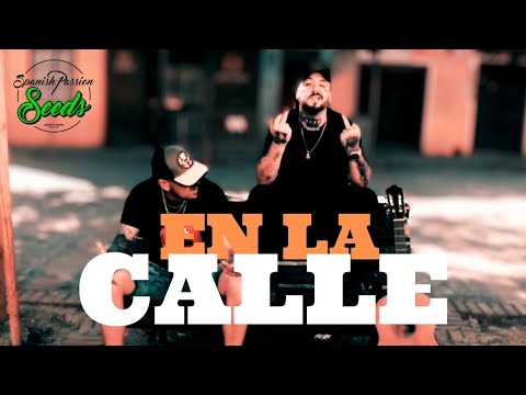 EN LA CALLE - Ak Dealer, Abraham Garrido (Videoclip Oficial) Prod. Omarsito