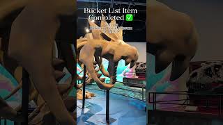 Visit the Pokemon Fossil Museum in the US | Pokémon Bucket List ✅ #FieldMuseumPartner