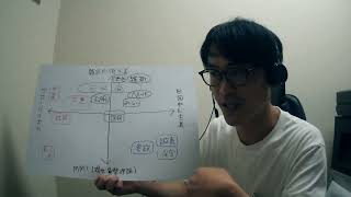 【選挙解説】投票先の選び方【参院選2025】