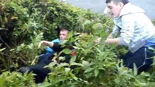 The bush party