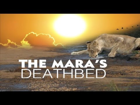 #SaveTheMara, The Eight Wonder of The World Could Soon Be Forgotten!