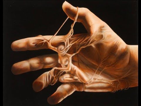 Paula Seling &  Zamfir -Culeg vise (raccogliere sogni)