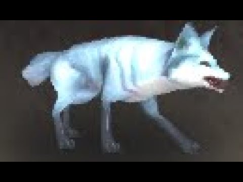 Northrend Safari: Arctic Fox Kit Battle Pet, The Storm Peaks, WoW Retail