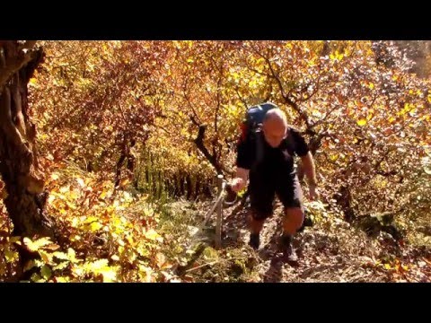 Saar-Hunsrück-Steig Etappe 22 Schmausemühle-Morshausen