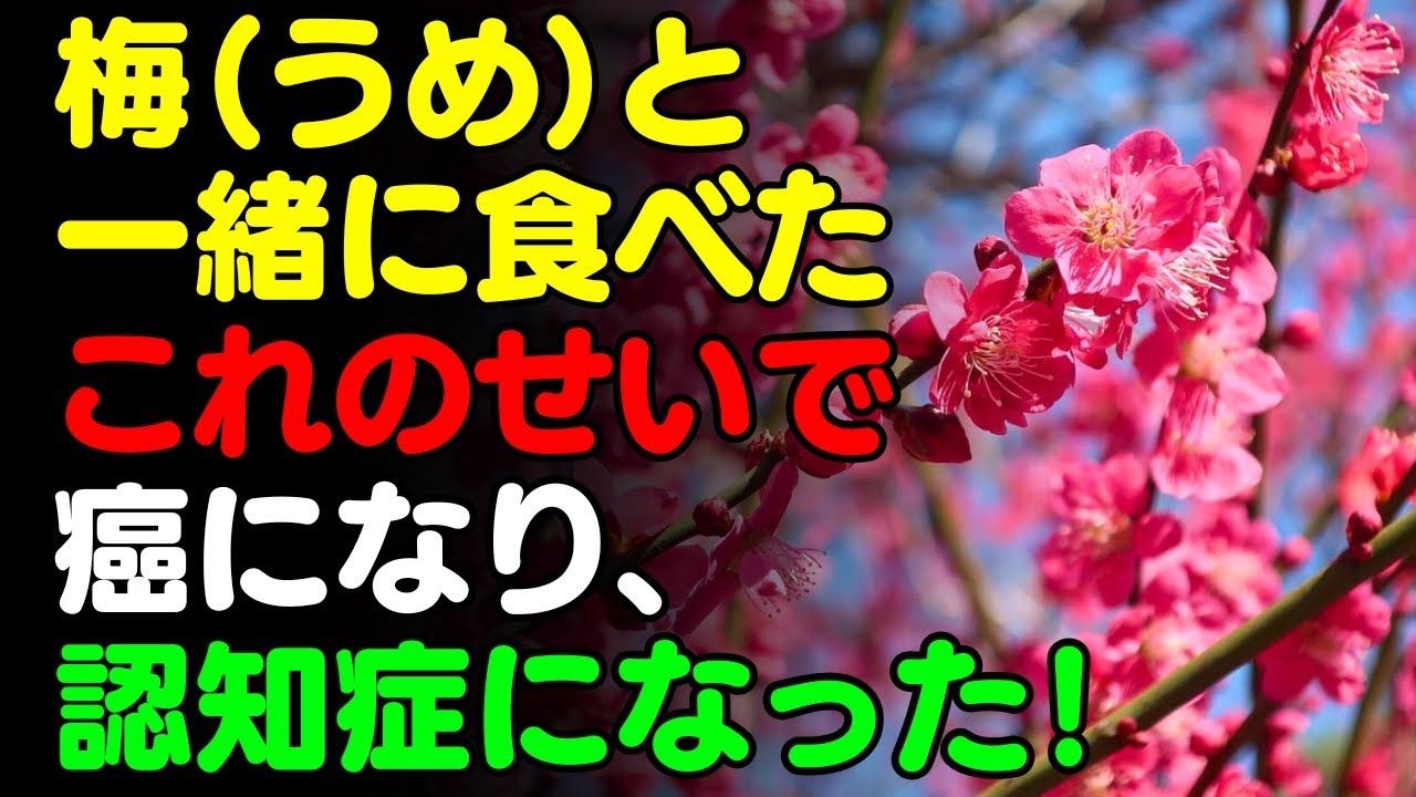 梅と一緒に 「これ」は絶対に食べないで🌸 うめと食べると滋養強壮剤になる食品3選＆レシピ！栄養補助食品の代わりにこれを食べよう【がん・認知症 予防、脳 健康情報、栄養効果、料理、梅干し, 梅酒 効能