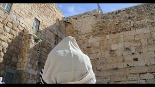 תפילת מנחה בשידור חי ז' ניסן The afternoon mincha live