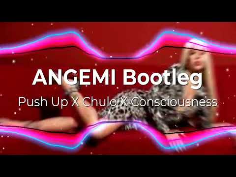 Bad Gyal, Tokischa, Young Miko, Creeds, Anyma - Push Up X Chulo X Consciousness (ANGEMI Bootleg)