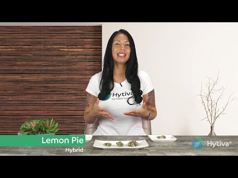download lagu mp3 mp4 Lemon Pie Strain, download lagu Lemon Pie Strain gratis, unduh video klip Lemon Pie Strain