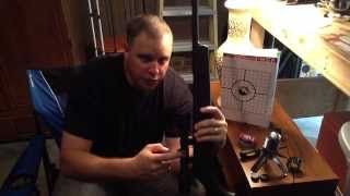 How to Sight in the Gamo Big Cat Air Rifle
