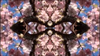 Porter Robinson - Natural Light (Music Video)