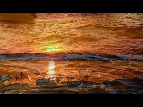 Binz to Prora and Back - von Binz bis Prora und zurück