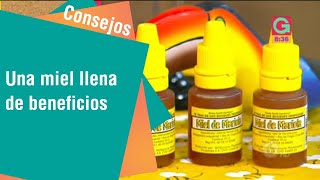 Una miel llena de beneficios | Consejos para usted