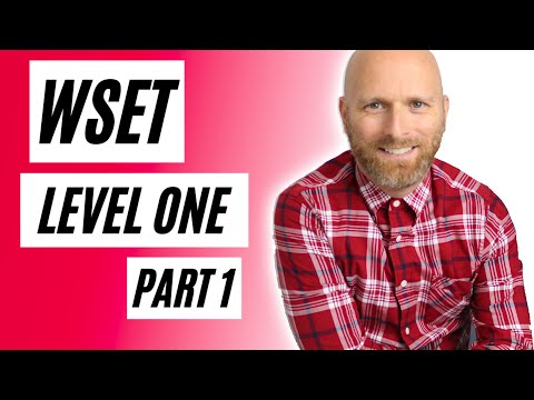 The WSET Level One Walkthrough - Part One - Grape Growing and Winemaking.