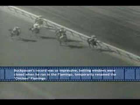 Reel News:  Aqueduct Metro Handicap 1967