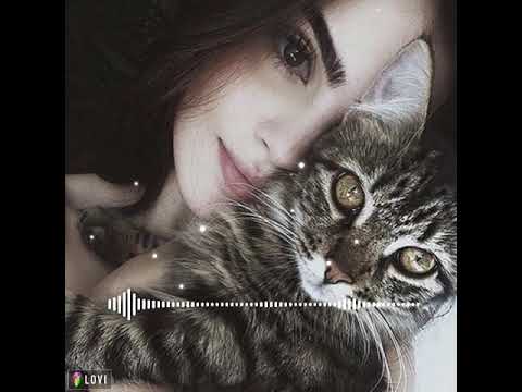 Raf Aleks Maiastra (Remix)