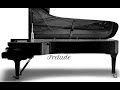 Prelude  from suite piano composer: Amir Mardashti