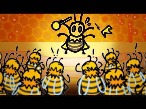 Hive Queen Conflict Explained — Full Transcript & Summary
