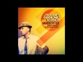 J Boogie's Dubtronic Science - Undercover feat Chrys Anthony (album version)