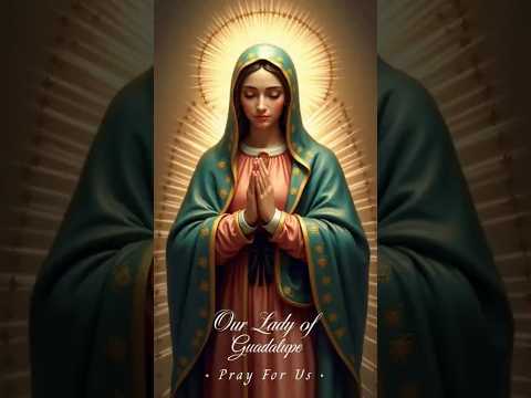Prayer to Our Lady of Guadalupe | Mystical Rose, Mother of God