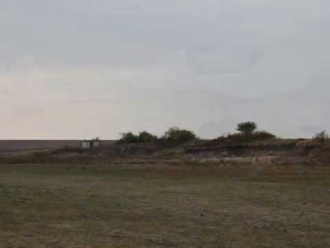 ACCIDENT GELU FRUNZA