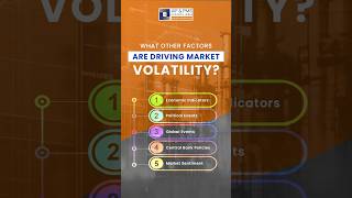 What Other Factors Are Driving Market Volatility?