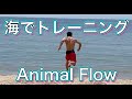 海で筋トレするならアニマルフロー[Beach Animal Flow]