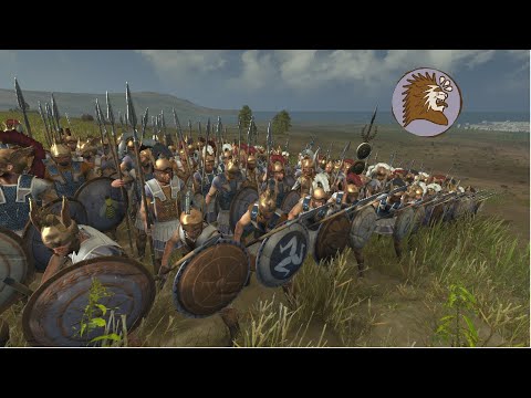 Is Colchis META? - Total War Rome 2 Online Battle